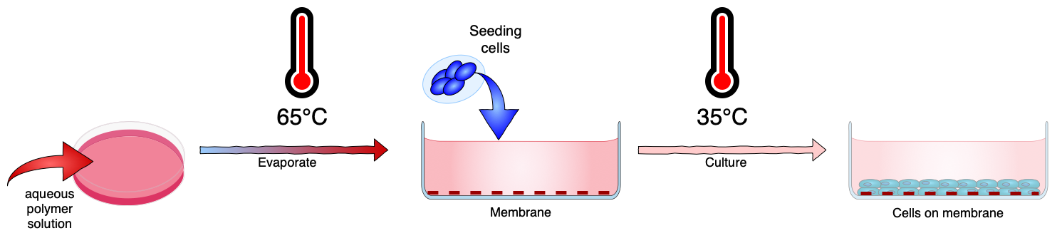 Bioicons can be used to create a wide range of illustrations with diagrams.net