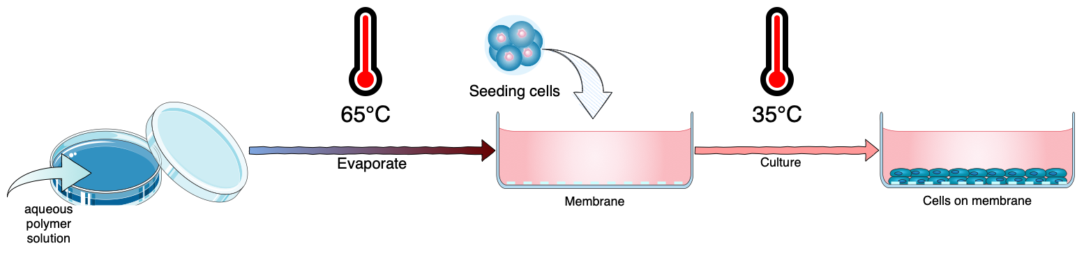 Bioicons can be used to create a wide range of illustrations with diagrams.net