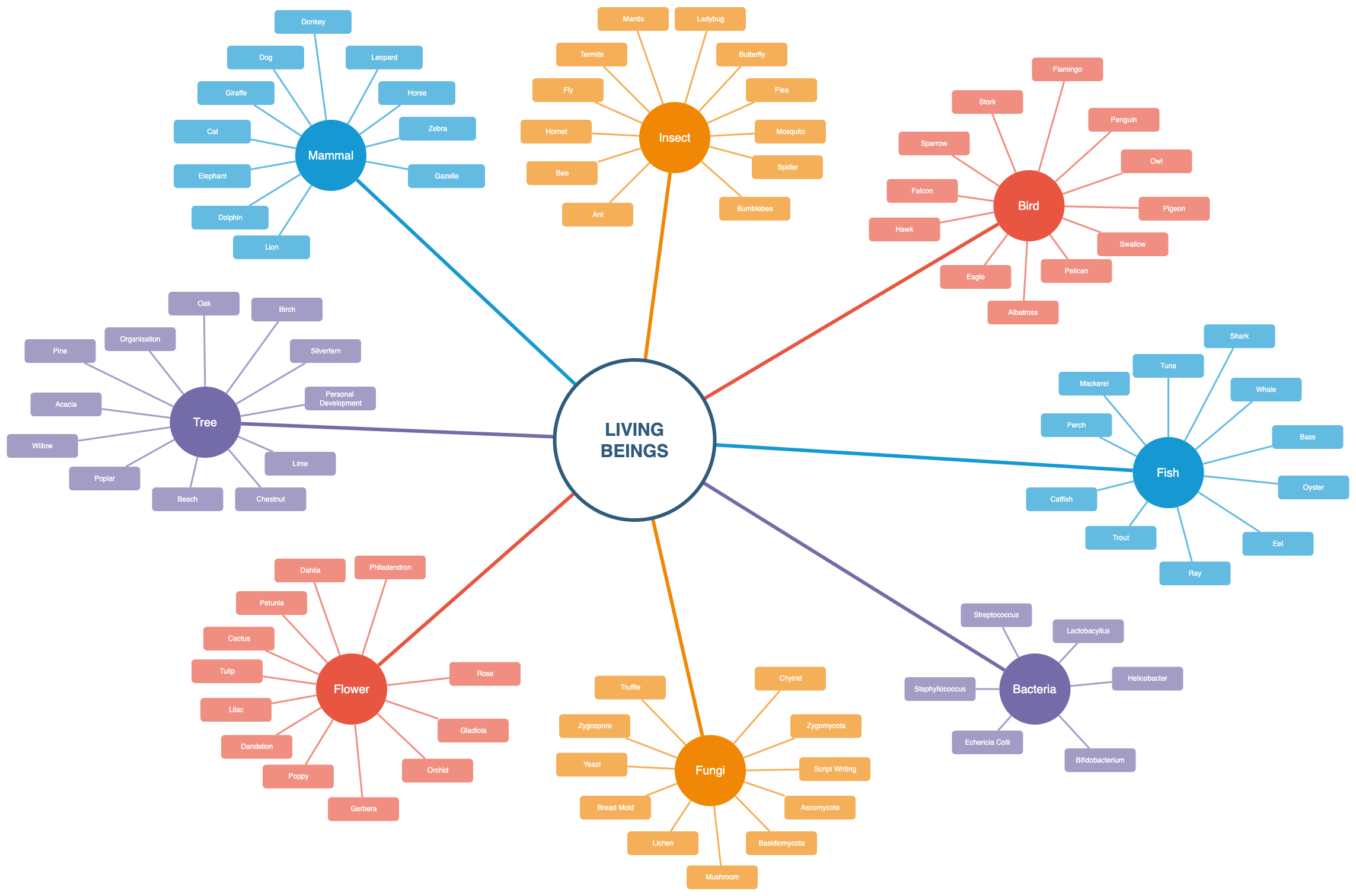 Mindmap of living beings - a template in diagrams.net